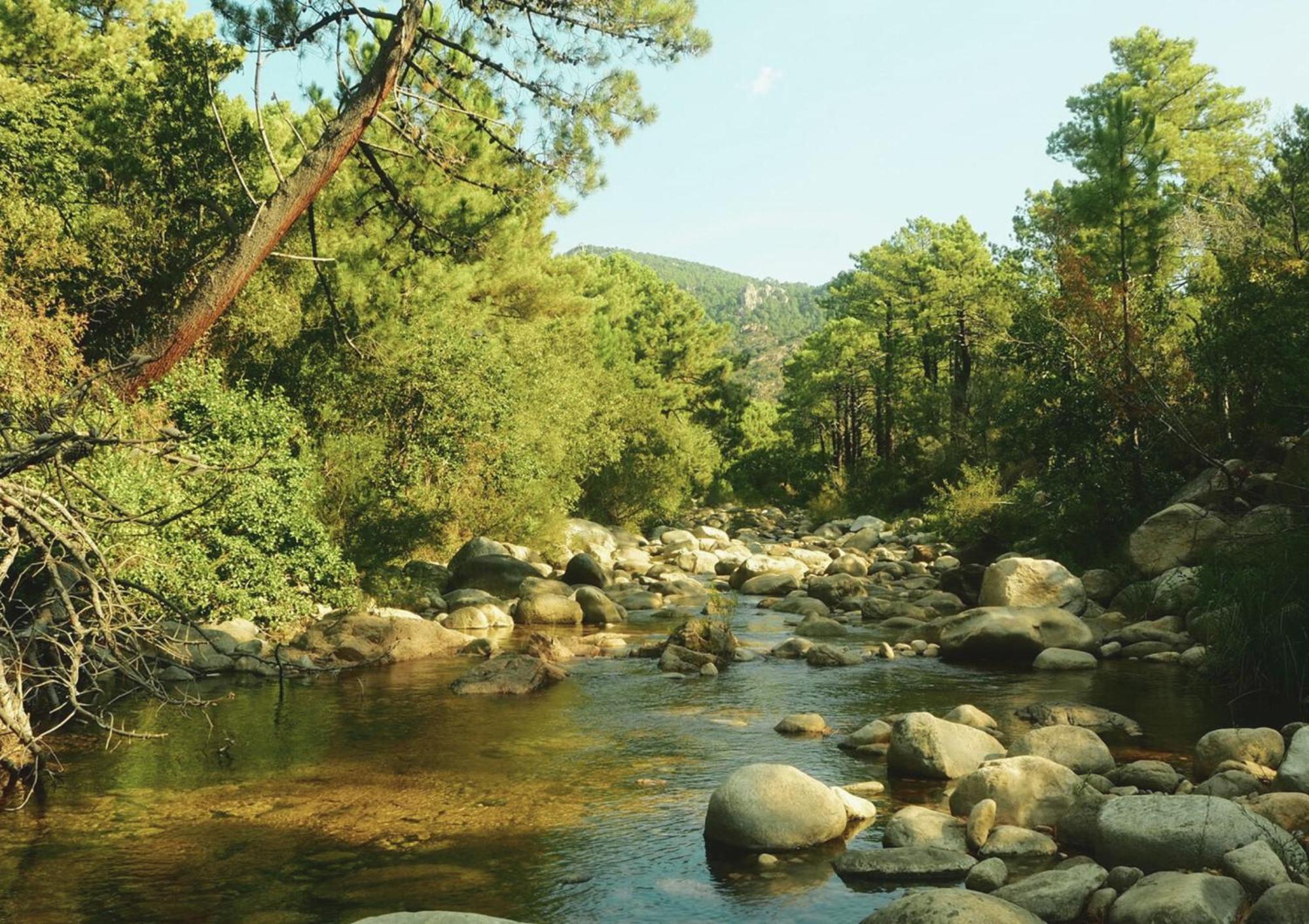 Camping Mulinacciu