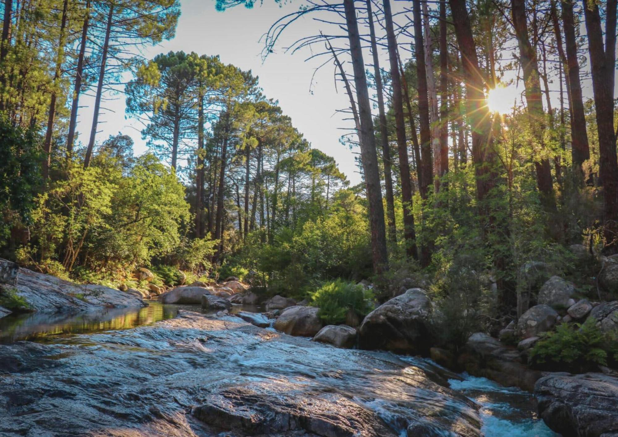 Mulinacciu Camping Lecci